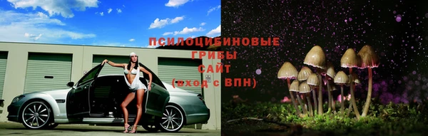 не бодяженный Арсеньев