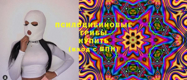 круглые Алзамай