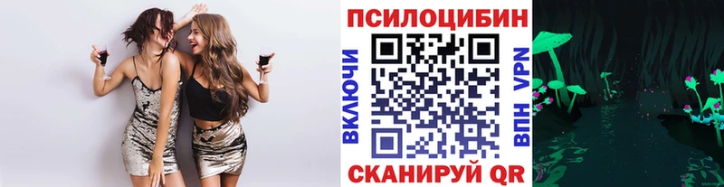 Псилоцибиновые грибы Psilocybe  наркота  Чадан 